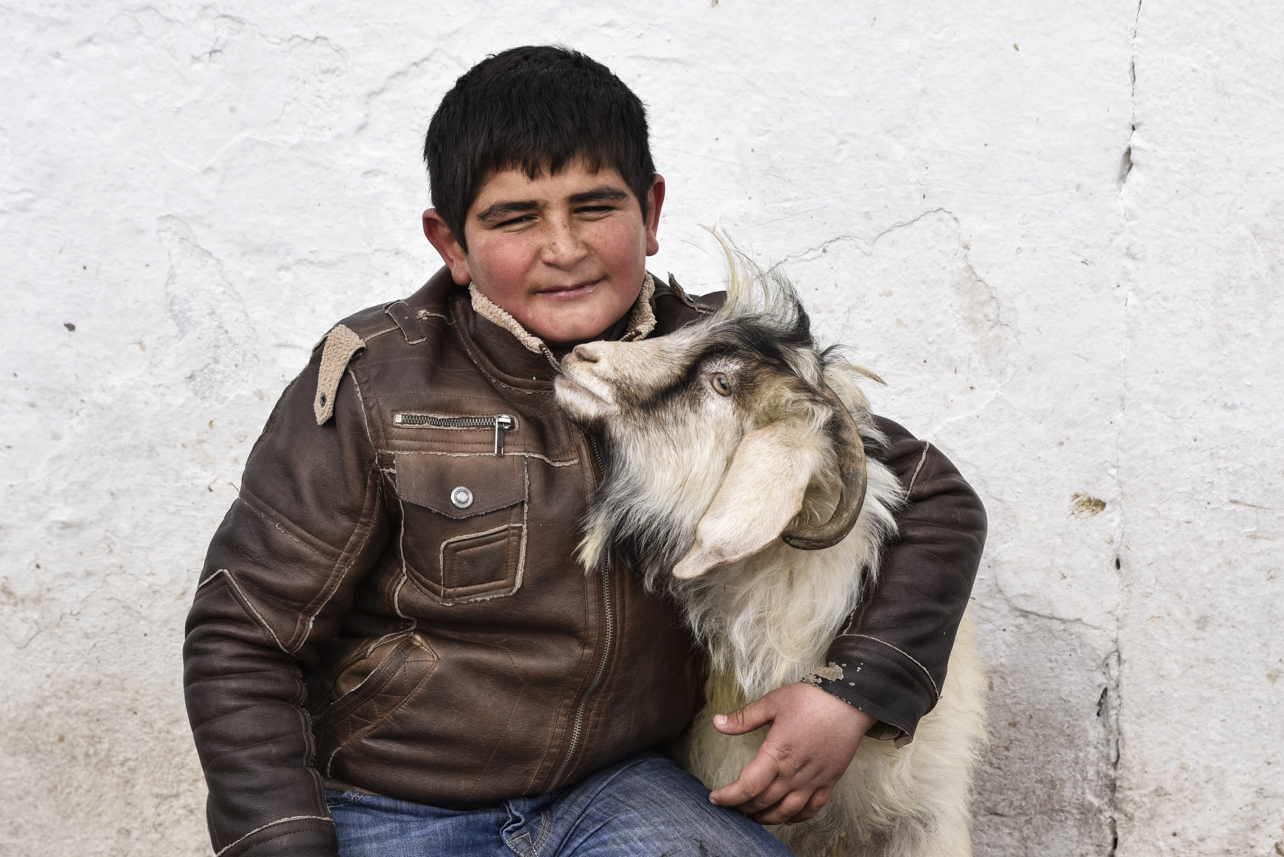 Haytap ne iş yapar ? Hayvanseverler Neden Bir Araya Gelemez ?